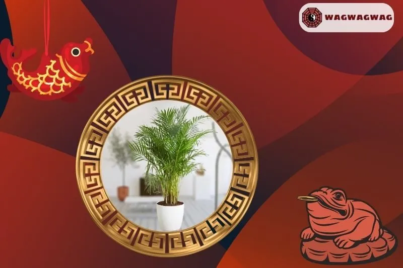 Cây Dừa Cảnh Phong Thủy: Ý Nghĩa, Cách Trồng và Chăm Sóc