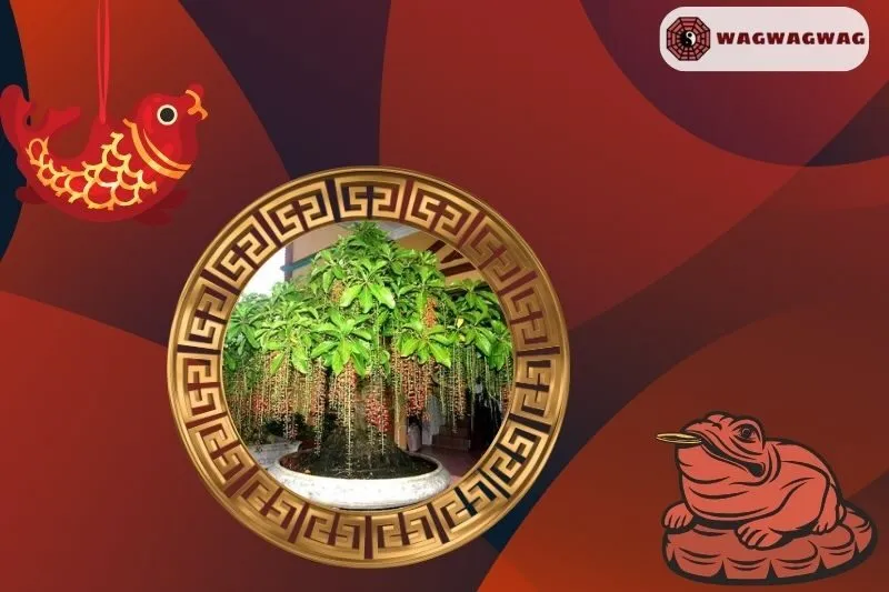 Ý nghĩa phong thuỷ của cây lộc vừng