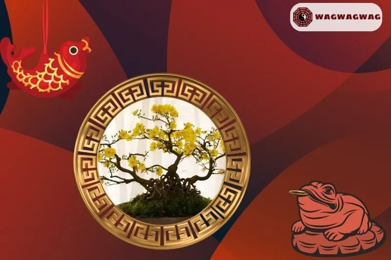 Ý nghĩa của cây mai vàng phong thủy