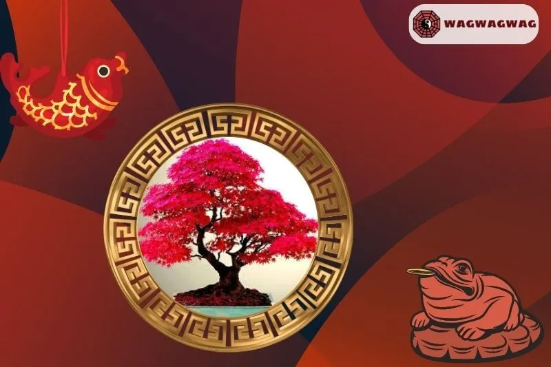Ý Nghĩa của Cây Phong Lá Đỏ Trong Phong Thủy