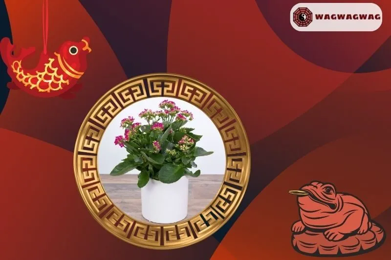 Ý Nghĩa Của Cây Sống Đời Phong Thủy