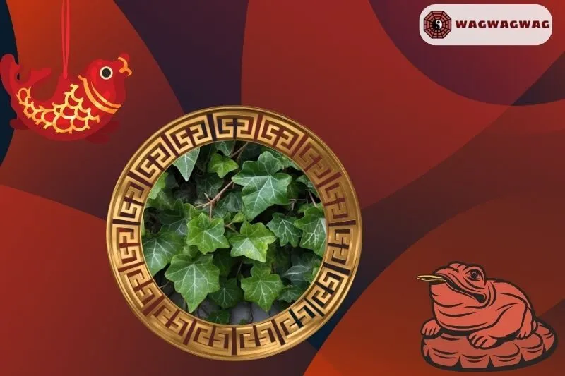 Ý Nghĩa Phong Thủy Của Cây Thường Xuân