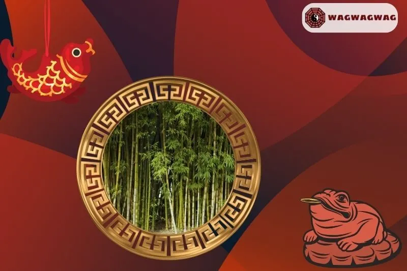 Ý nghĩa của cây tre phong thủy