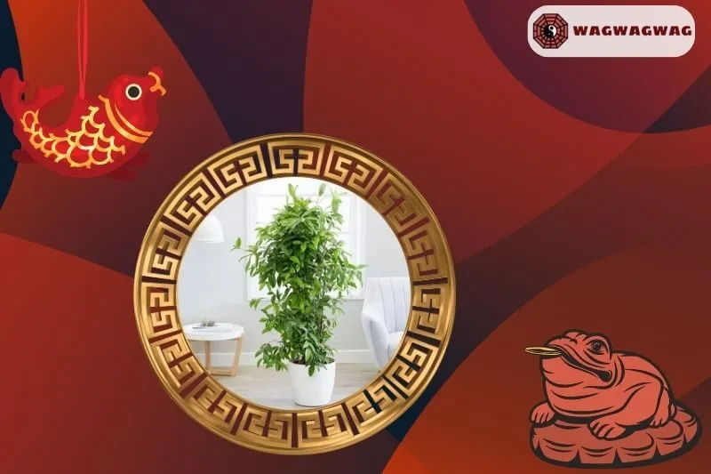 Ý nghĩa của cây trúc Nhật phong thủy