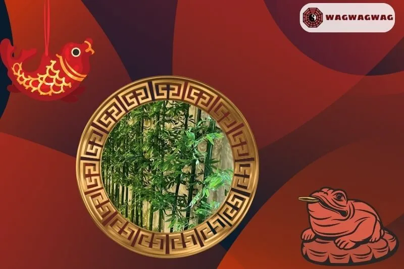 Ý nghĩa phong thủy của cây trúc quân tử