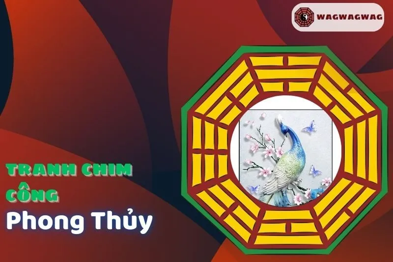 Ý Nghĩa Tranh Chim Công Phong Thủy Và Cách Đặt Đúng Hướng